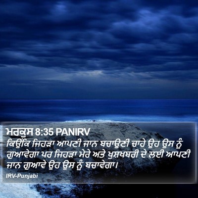 ਮਰਕੁਸ 8:35 PANIRV Bible Verse Image