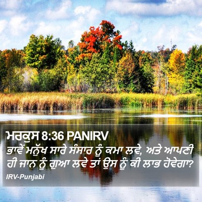 ਮਰਕੁਸ 8:36 PANIRV Bible Verse Image