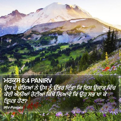 ਮਰਕੁਸ 8:4 PANIRV Bible Verse Image