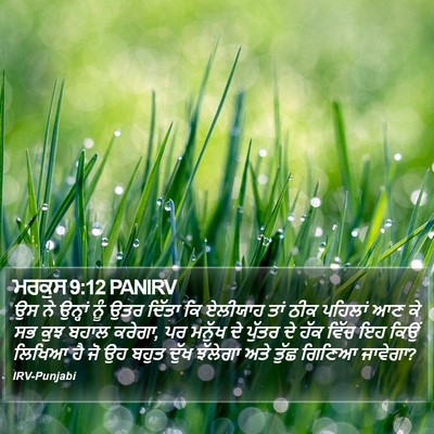 ਮਰਕੁਸ 9:12 PANIRV Bible Verse Image