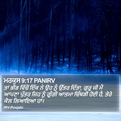 ਮਰਕੁਸ 9:17 PANIRV Bible Verse Image