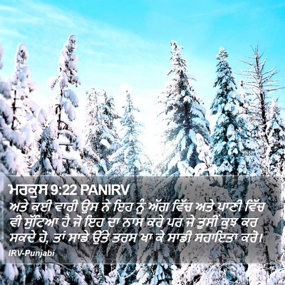 ਮਰਕੁਸ 9:22 PANIRV Bible Verse Image