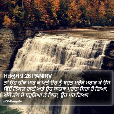 ਮਰਕੁਸ 9:26 PANIRV Bible Verse Image