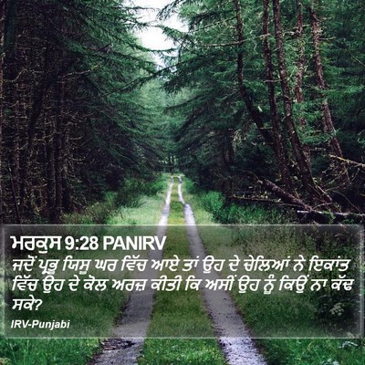 ਮਰਕੁਸ 9:28 PANIRV Bible Verse Image