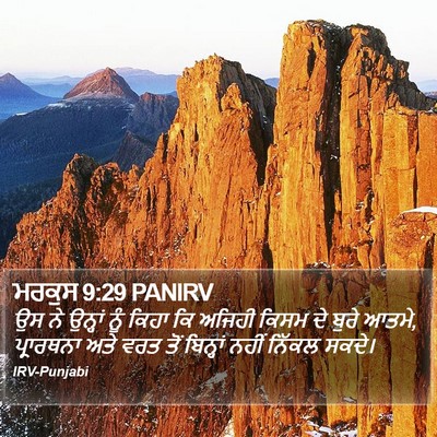ਮਰਕੁਸ 9:29 PANIRV Bible Verse Image