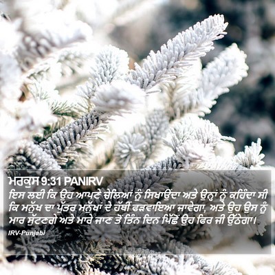 ਮਰਕੁਸ 9:31 PANIRV Bible Verse Image