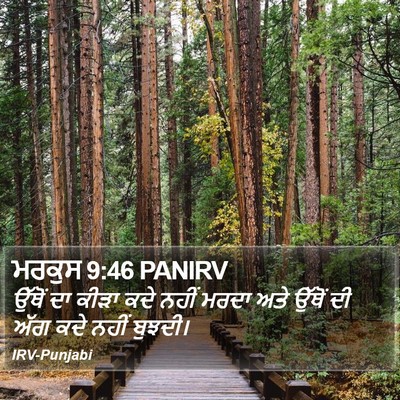 ਮਰਕੁਸ 9:46 PANIRV Bible Verse Image