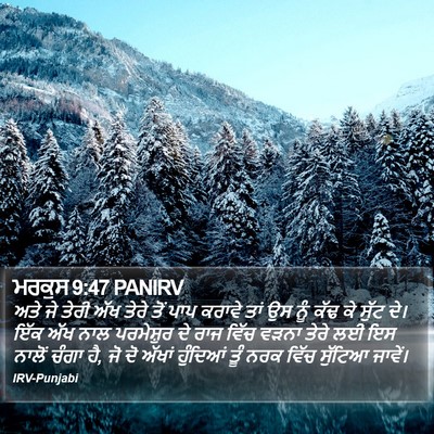 ਮਰਕੁਸ 9:47 PANIRV Bible Verse Image