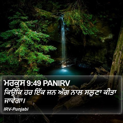 ਮਰਕੁਸ 9:49 PANIRV Bible Verse Image