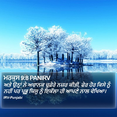 ਮਰਕੁਸ 9:8 PANIRV Bible Verse Image