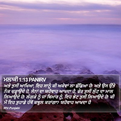 ਮਲਾਕੀ 1:13 PANIRV Bible Verse Image