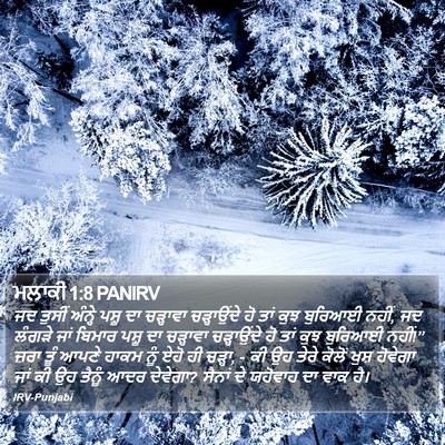 ਮਲਾਕੀ 1:8 PANIRV Bible Verse Image