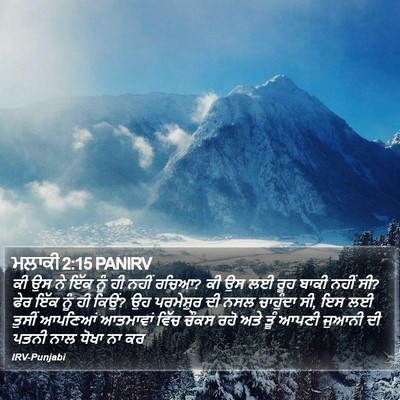 ਮਲਾਕੀ 2:15 PANIRV Bible Verse Image