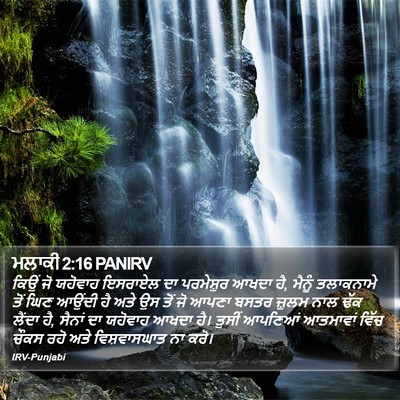 ਮਲਾਕੀ 2:16 PANIRV Bible Verse Image