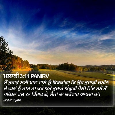 ਮਲਾਕੀ 3:11 PANIRV Bible Verse Image