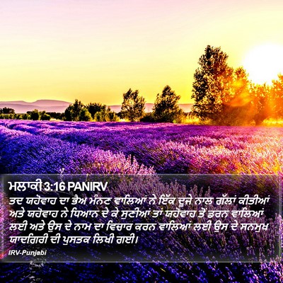 ਮਲਾਕੀ 3:16 PANIRV Bible Verse Image