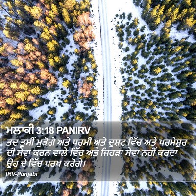 ਮਲਾਕੀ 3:18 PANIRV Bible Verse Image