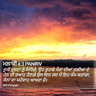 ਮਲਾਕੀ 4:3 PANIRV Bible Verse Image