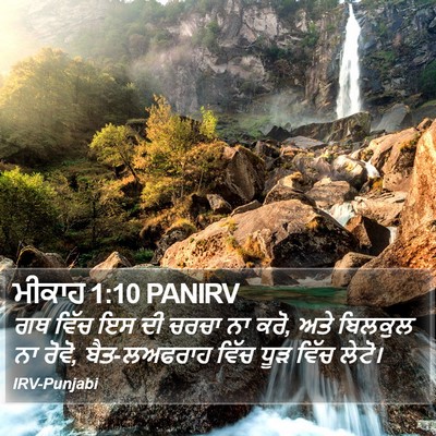 ਮੀਕਾਹ 1:10 PANIRV Bible Verse Image