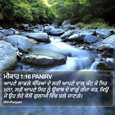 ਮੀਕਾਹ 1:16 PANIRV Bible Verse Image