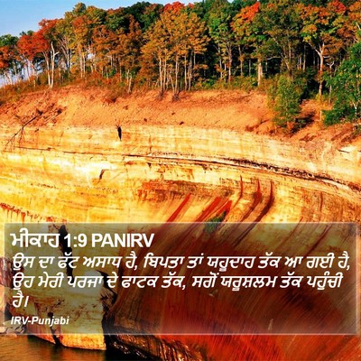 ਮੀਕਾਹ 1:9 PANIRV Bible Verse Image