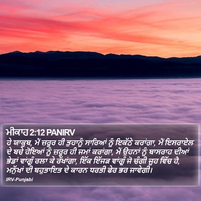 ਮੀਕਾਹ 2:12 PANIRV Bible Verse Image
