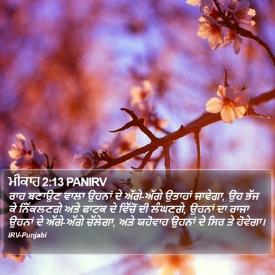 ਮੀਕਾਹ 2:13 PANIRV Bible Verse Image