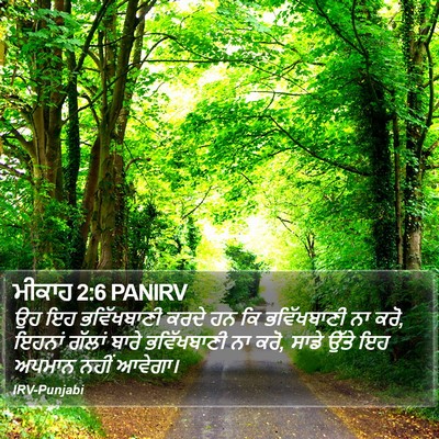 ਮੀਕਾਹ 2:6 PANIRV Bible Verse Image