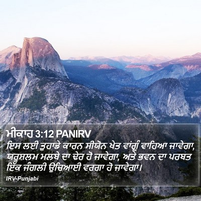 ਮੀਕਾਹ 3:12 PANIRV Bible Verse Image