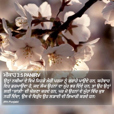 ਮੀਕਾਹ 3:5 PANIRV Bible Verse Image