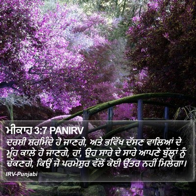 ਮੀਕਾਹ 3:7 PANIRV Bible Verse Image