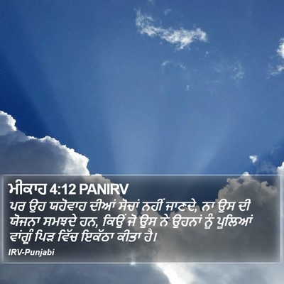 ਮੀਕਾਹ 4:12 PANIRV Bible Verse Image
