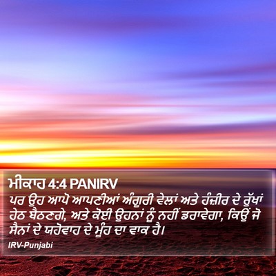 ਮੀਕਾਹ 4:4 PANIRV Bible Verse Image