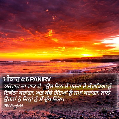 ਮੀਕਾਹ 4:6 PANIRV Bible Verse Image