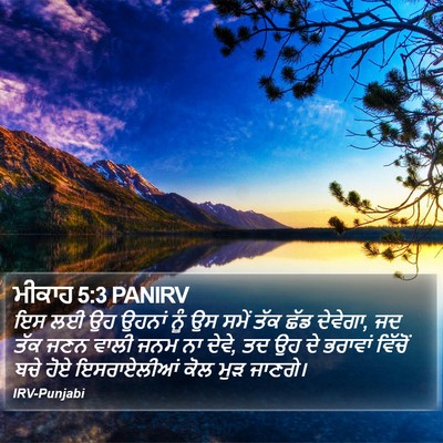ਮੀਕਾਹ 5:3 PANIRV Bible Verse Image