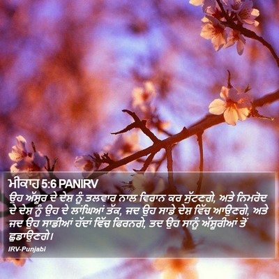 ਮੀਕਾਹ 5:6 PANIRV Bible Verse Image