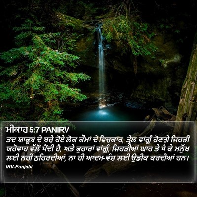 ਮੀਕਾਹ 5:7 PANIRV Bible Verse Image