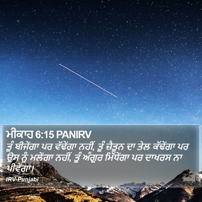 ਮੀਕਾਹ 6:15 PANIRV Bible Verse Image