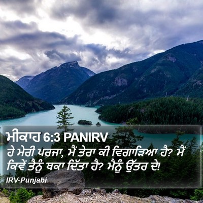 ਮੀਕਾਹ 6:3 PANIRV Bible Verse Image
