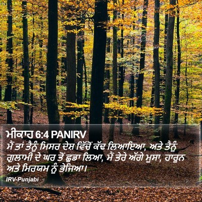 ਮੀਕਾਹ 6:4 PANIRV Bible Verse Image