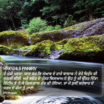 ਮੀਕਾਹ 6:5 PANIRV Bible Verse Image