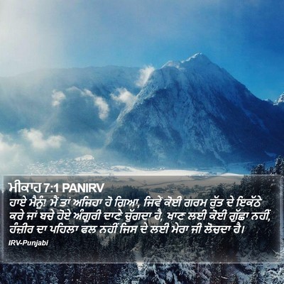 ਮੀਕਾਹ 7:1 PANIRV Bible Verse Image