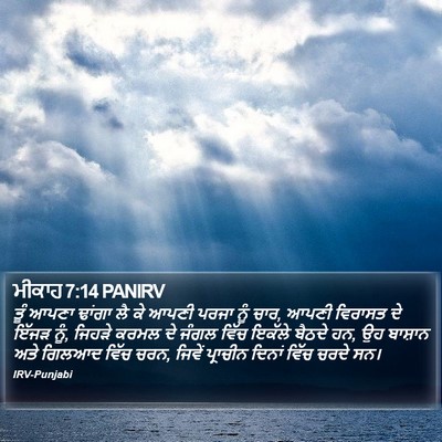 ਮੀਕਾਹ 7:14 PANIRV Bible Verse Image