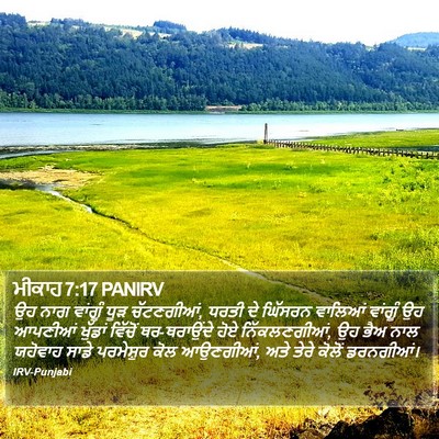 ਮੀਕਾਹ 7:17 PANIRV Bible Verse Image