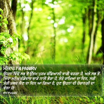 ਮੀਕਾਹ 7:4 PANIRV Bible Verse Image