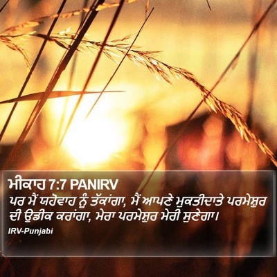 ਮੀਕਾਹ 7:7 PANIRV Bible Verse Image