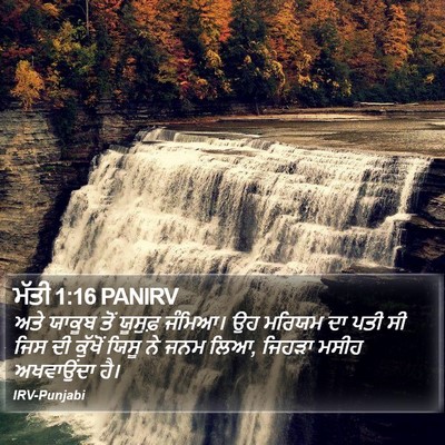 ਮੱਤੀ 1:16 PANIRV Bible Verse Image