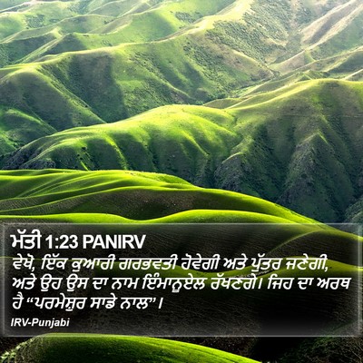 ਮੱਤੀ 1:23 PANIRV Bible Verse Image