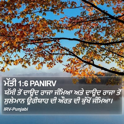 ਮੱਤੀ 1:6 PANIRV Bible Verse Image