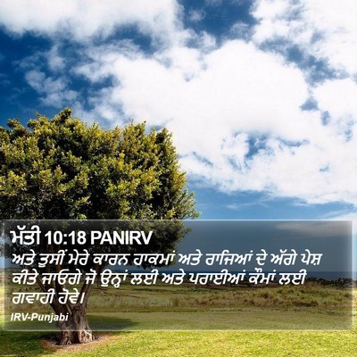 ਮੱਤੀ 10:18 PANIRV Bible Verse Image